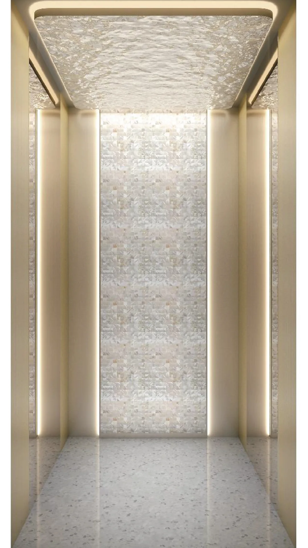 Home Elevator Design 3